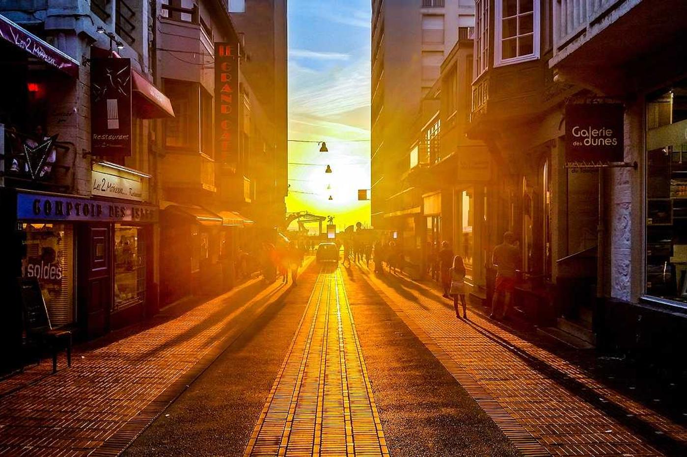 Temporibus placeat facilis dolores